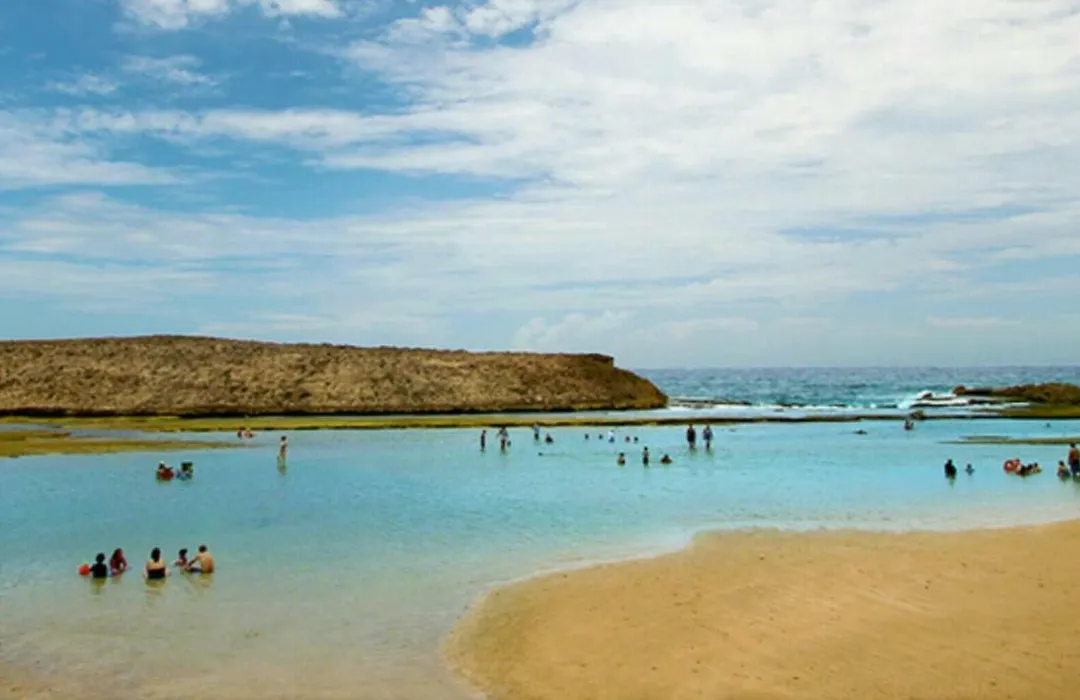 Palmeras Del Mar-1